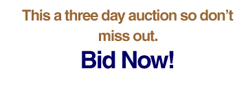This is a two day auction so don't miss out.  Bid Today!